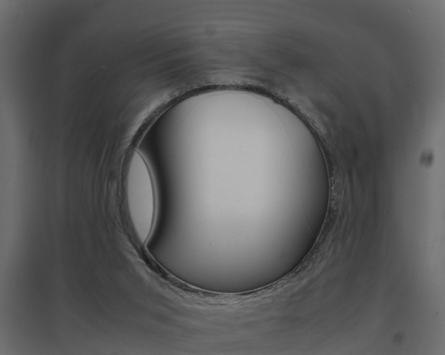 X0000094970015200711291149