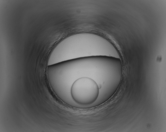 X0000094970018200711291149