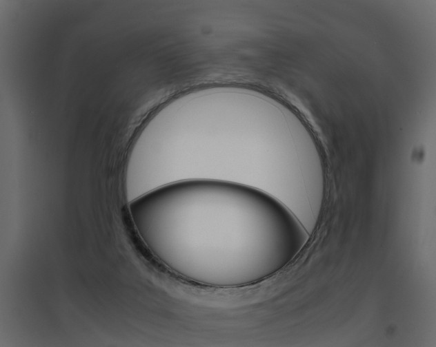 X0000094970019200711291149