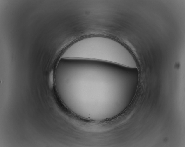 X0000094970020200711291149