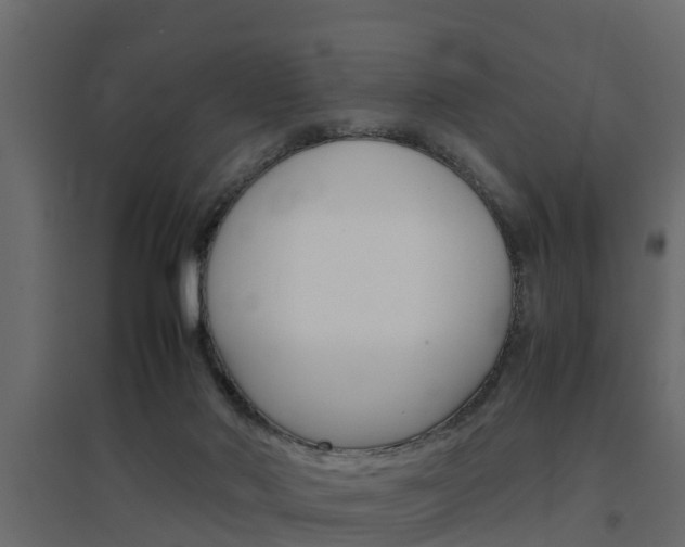 X0000094970022200711291149