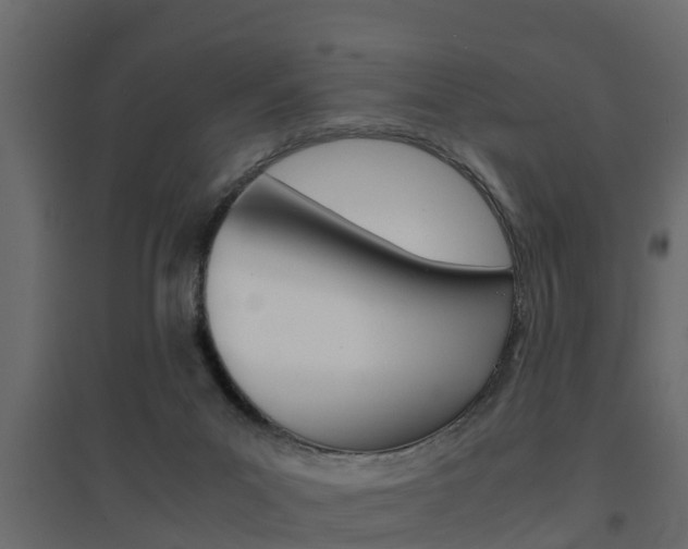 X0000094970023200711291149
