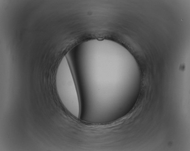 X0000094970025200711291149