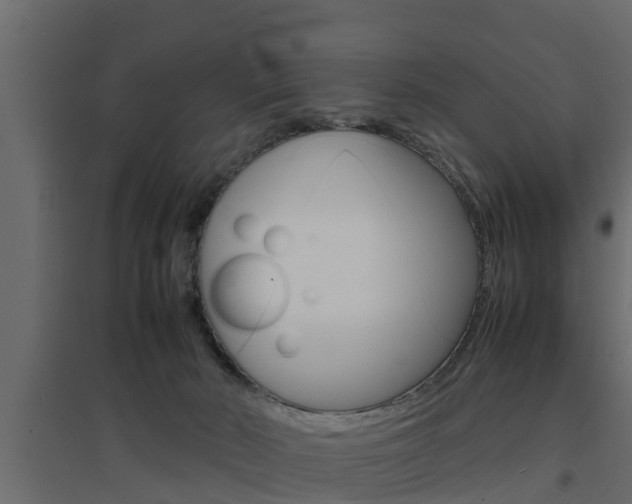 X0000094970030200711291148
