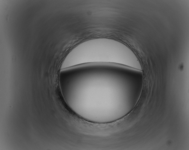 X0000094970031200711291148