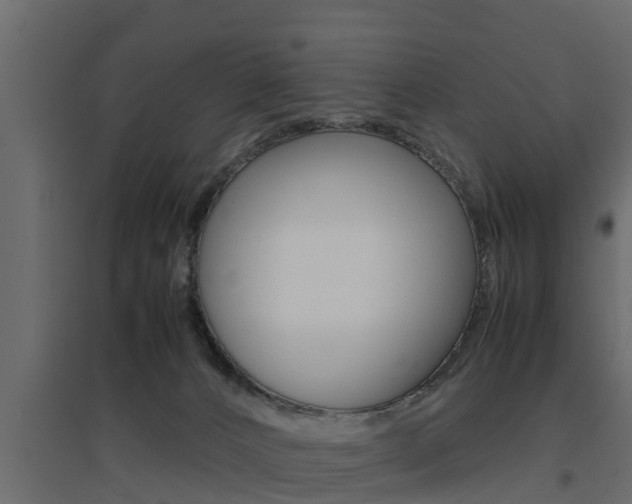 X0000094970032200711291148