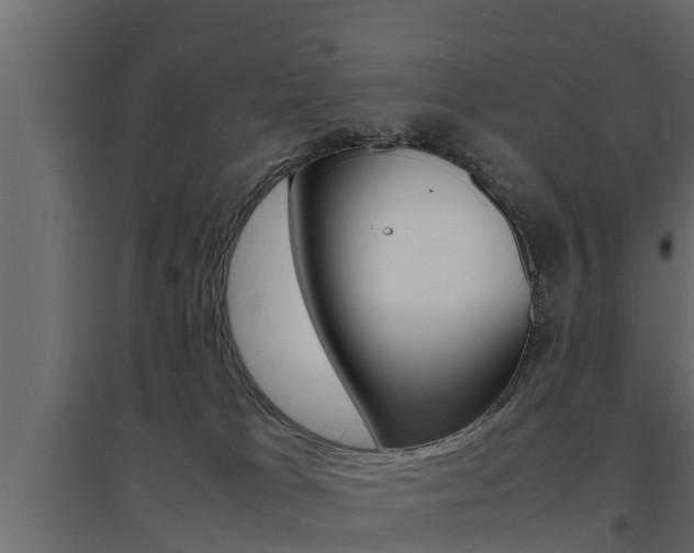 X0000094970037200711291148
