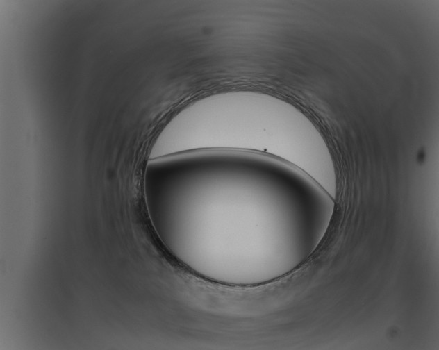 X0000094970039200711291148