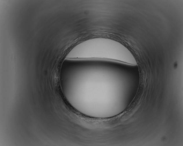 X0000094970040200711291148