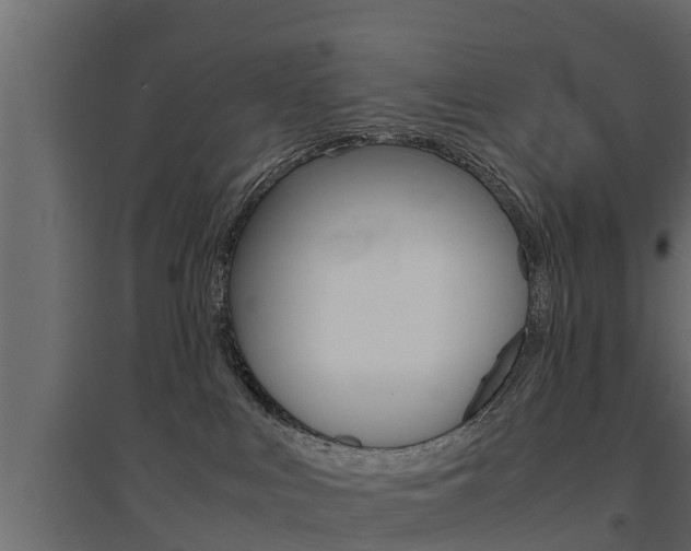 X0000094970043200711291148