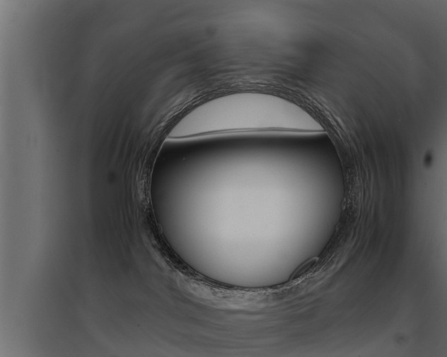 X0000094970044200711291148