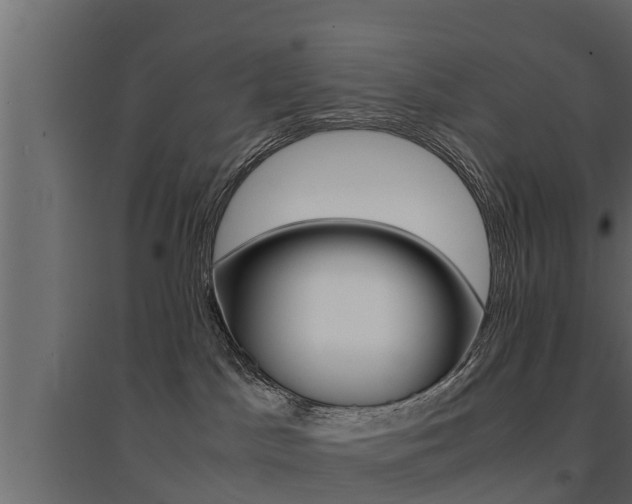 X0000094970045200711291148