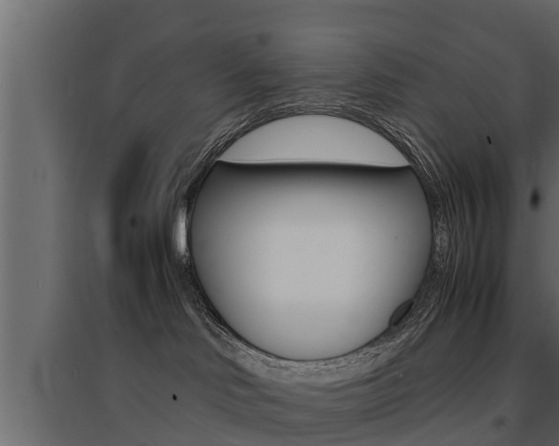 X0000094970046200711291148