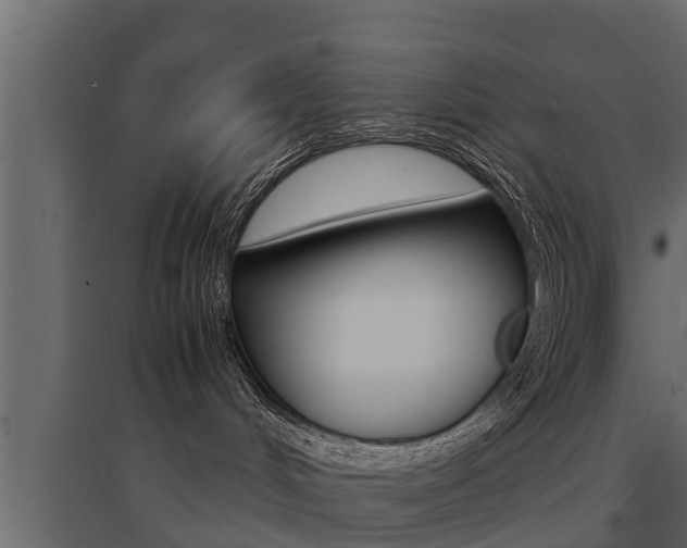 X0000094970048200711291148