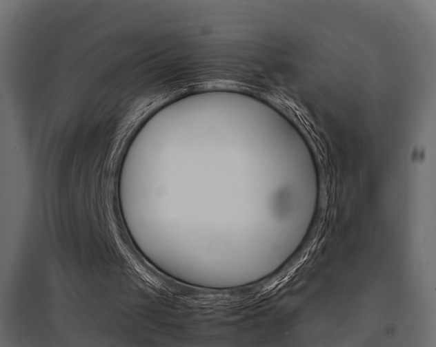 X0000094970049200711291147