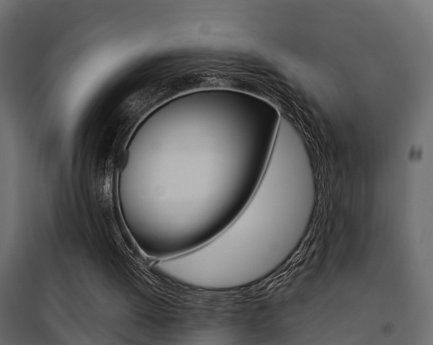 X0000094970052200711291147