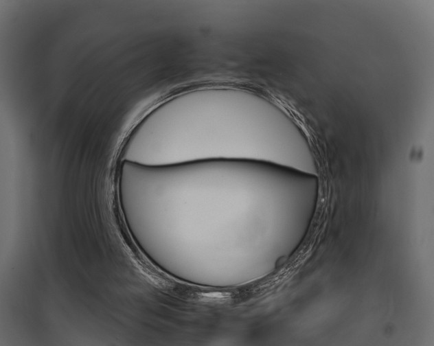 X0000094970053200711291148