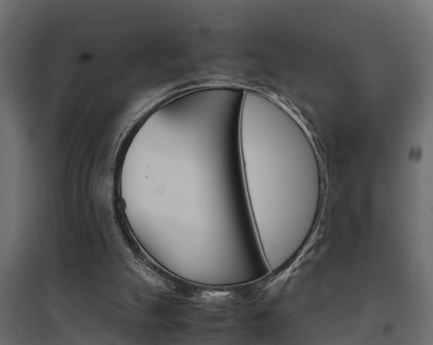 X0000094970055200711291148