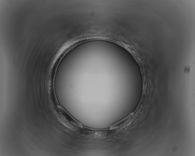 X0000094970056200711291148