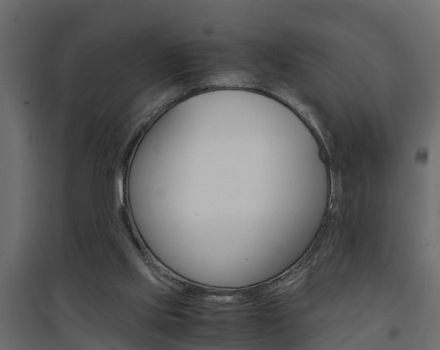 X0000094970061200711291148