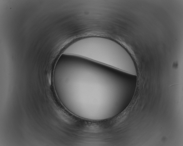 X0000094970062200711291148