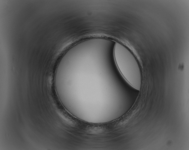 X0000094970063200711291148