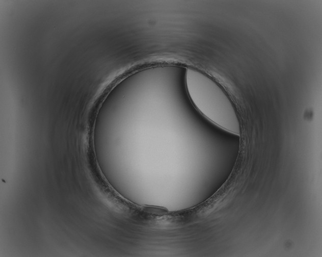 X0000094970064200711291148