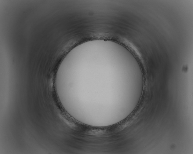 X0000094970065200711291148