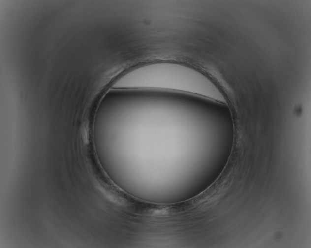 X0000094970068200711291148