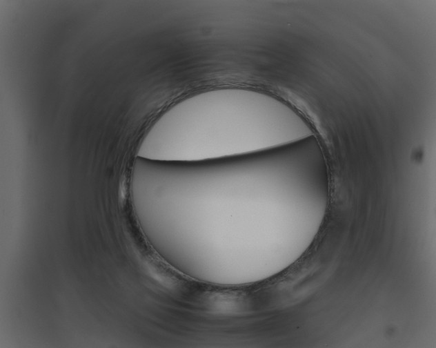 X0000094970069200711291148