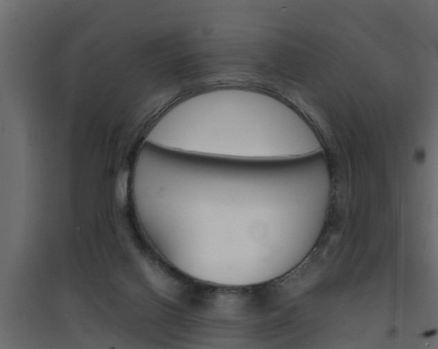 X0000094970070200711291148