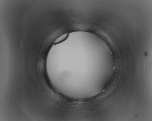 X0000094970071200711291148