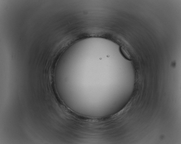X0000094970074200711291148