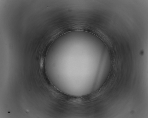 X0000094970075200711291148
