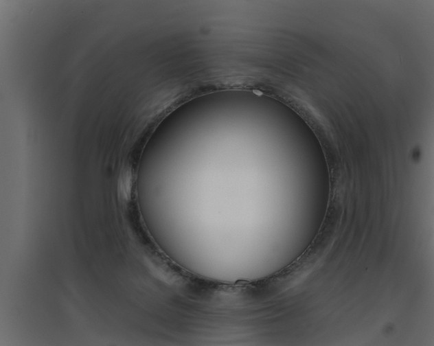 X0000094970076200711291148