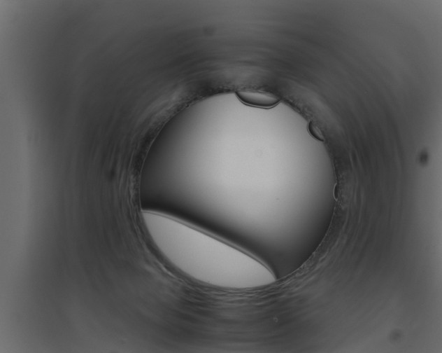 X0000094970077200711291148