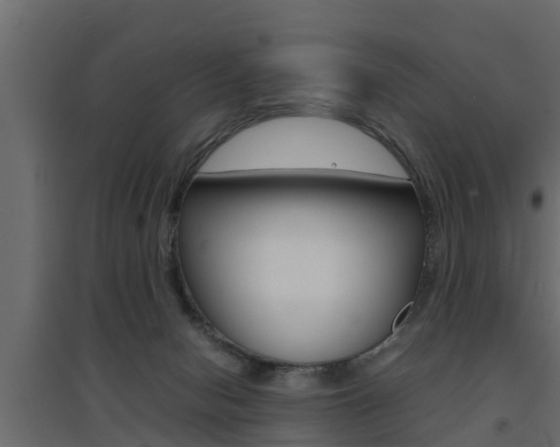 X0000094970078200711291148