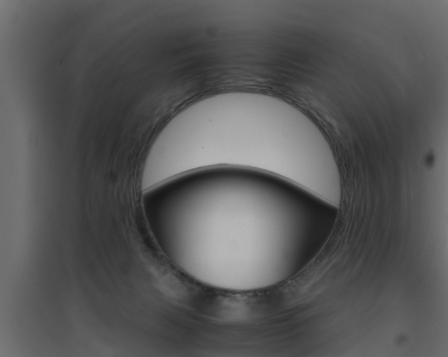 X0000094970079200711291148