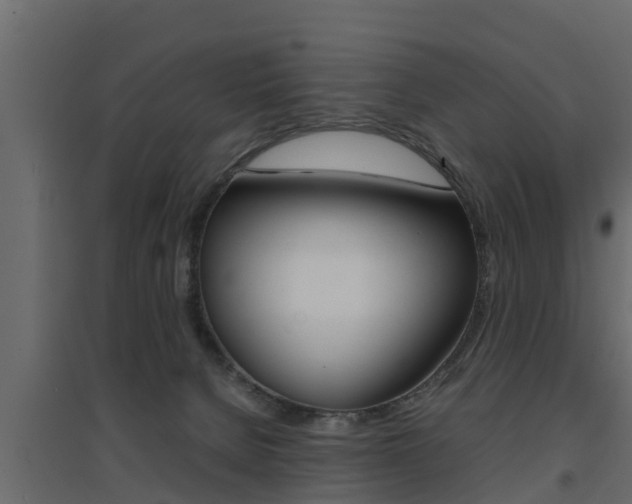 X0000094970080200711291148