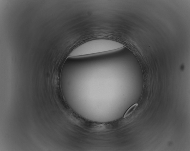 X0000094970083200711291148