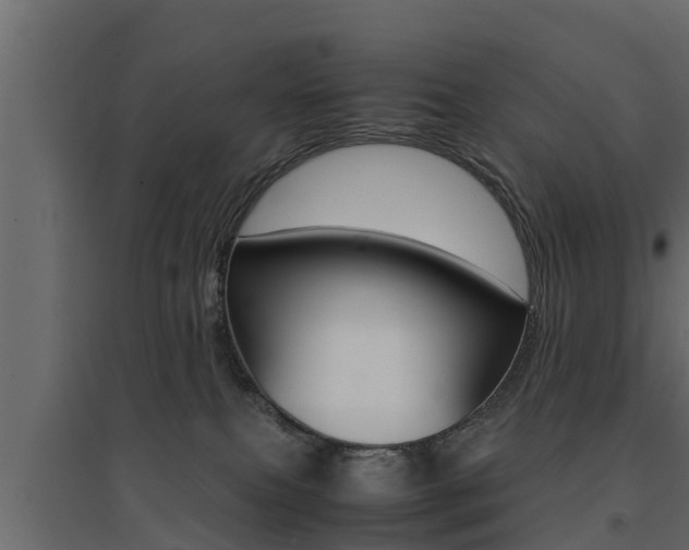 X0000094970087200711291148