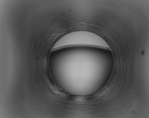 X0000094970088200711291148