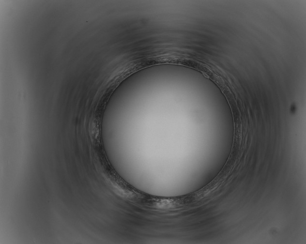 X0000094970091200711291148
