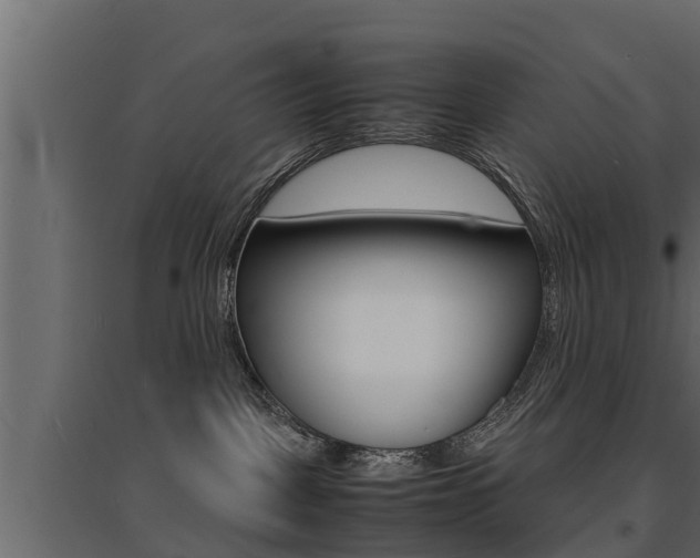 X0000094970093200711291148