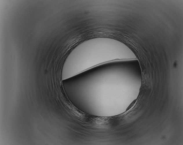 X0000094970094200711291148
