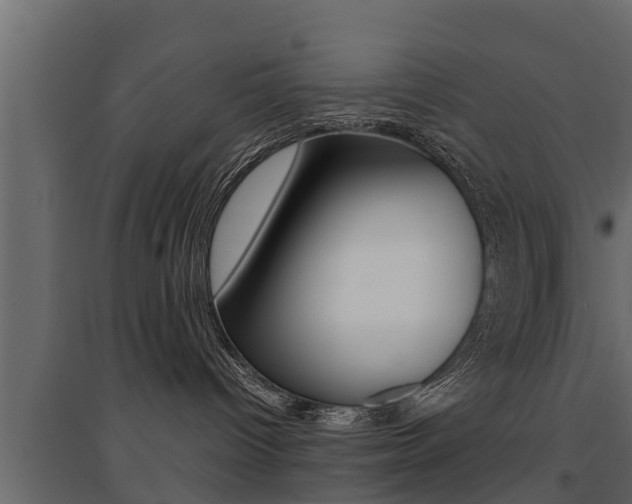 X0000094970096200711291148
