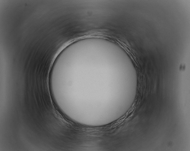 X0000094970100200711291147