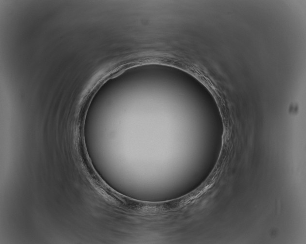 X0000094970101200711291147