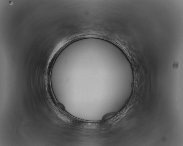 X0000094970102200711291147