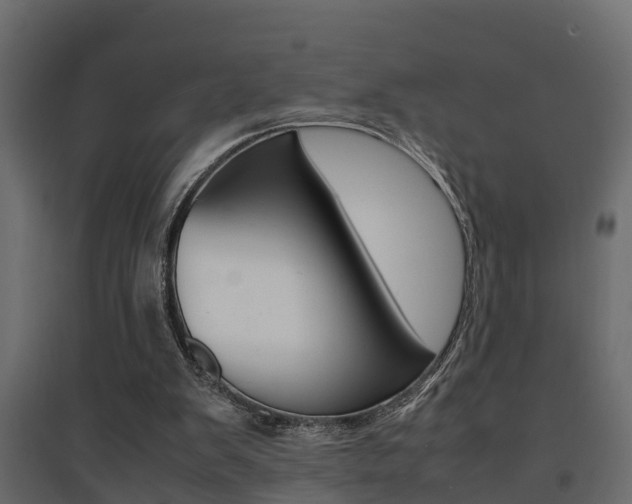 X0000094970103200711291147
